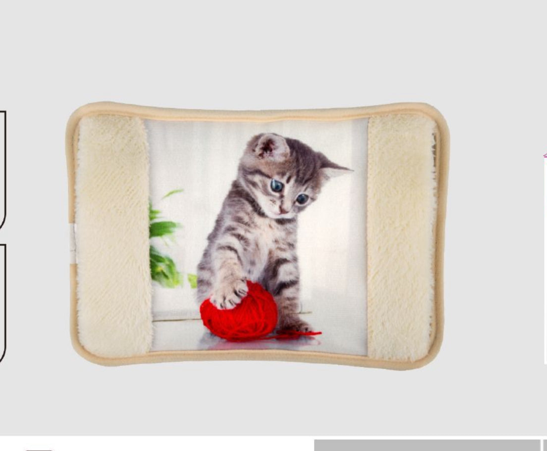 Borsa Acqua Calda Elettrica disegno Cat